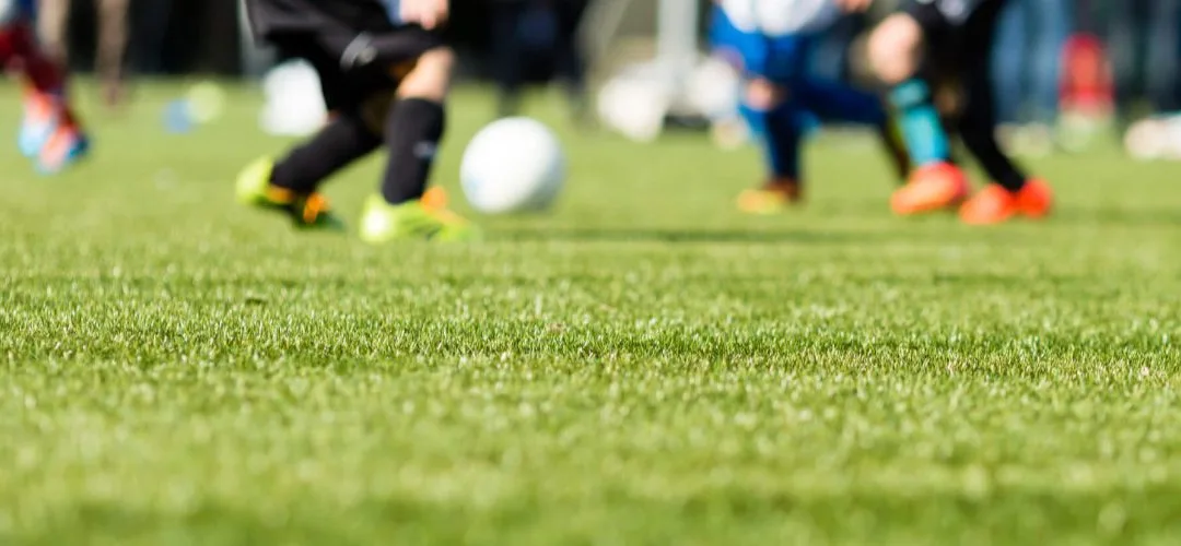 How to Choose the Best Artificial Grass for Your Playground or School