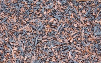 Rubber Mulch Surfacing: A Low-Maintenance Option for Natural-Looking Play Areas